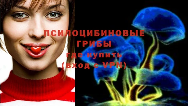 соль ск Михайловка
