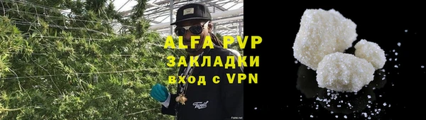шишки Михайлов