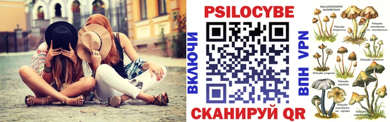 купить наркотики сайты  mega рабочий сайт  Галлюциногенные грибы Psilocybe  Электрогорск 