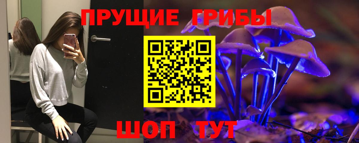 Псилоцибиновые грибы мицелий  Вход с VPN  Электрогорск 